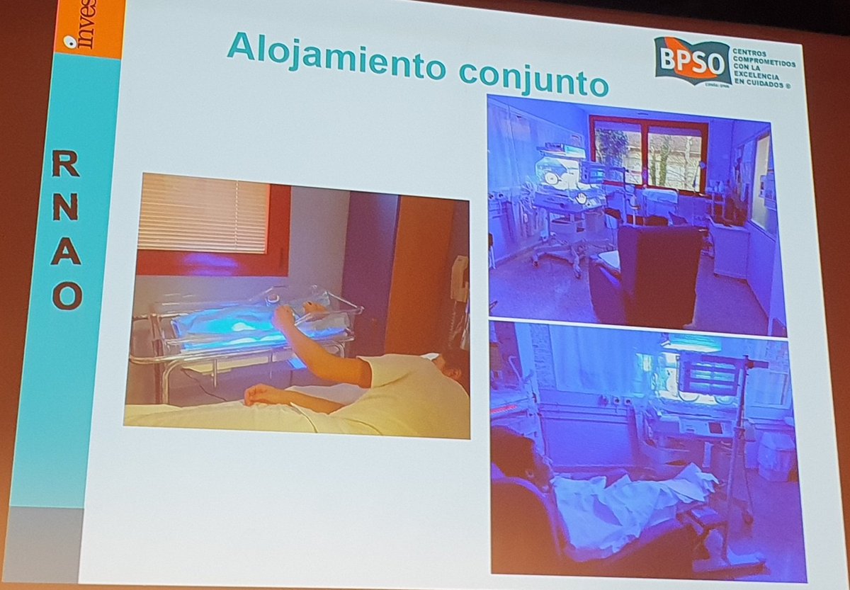 CaminoDR tweet media
