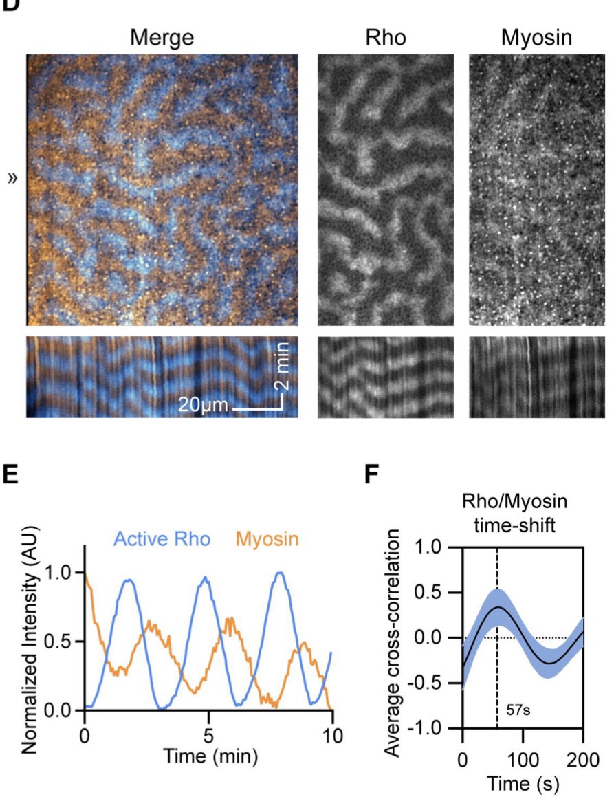Joel Boerckel tweet media