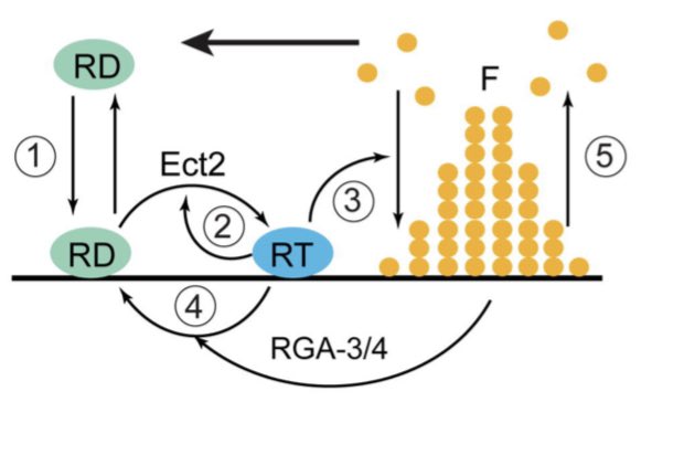 Joel Boerckel tweet media