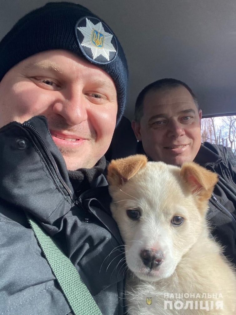 The Kyiv police’s new pet 🥰
The dog’s name is… Bayraktar.