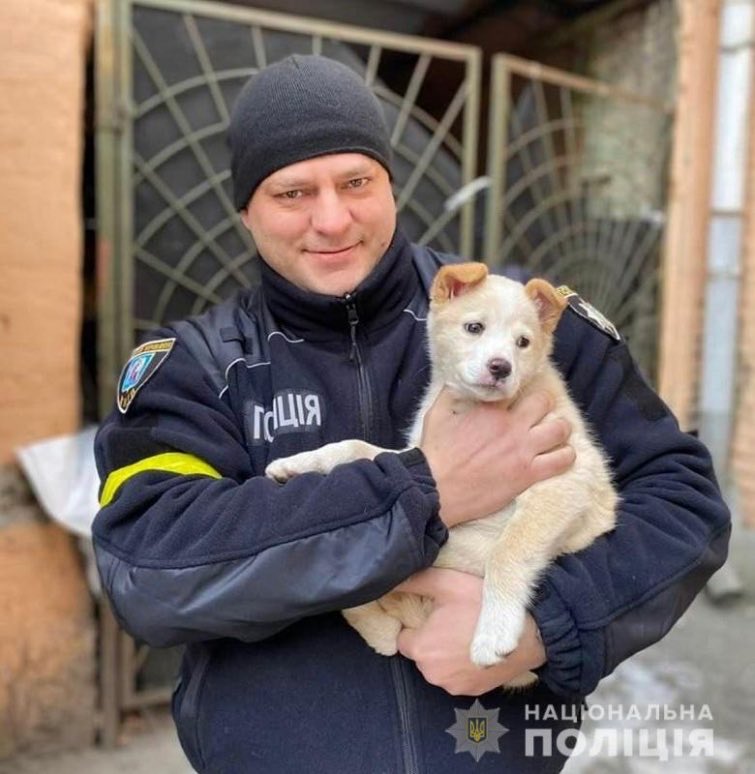 IAPonomarenko's tweet photo. The Kyiv police’s new pet 🥰
The dog’s name is… Bayraktar. https://t.co/byem82EdcF