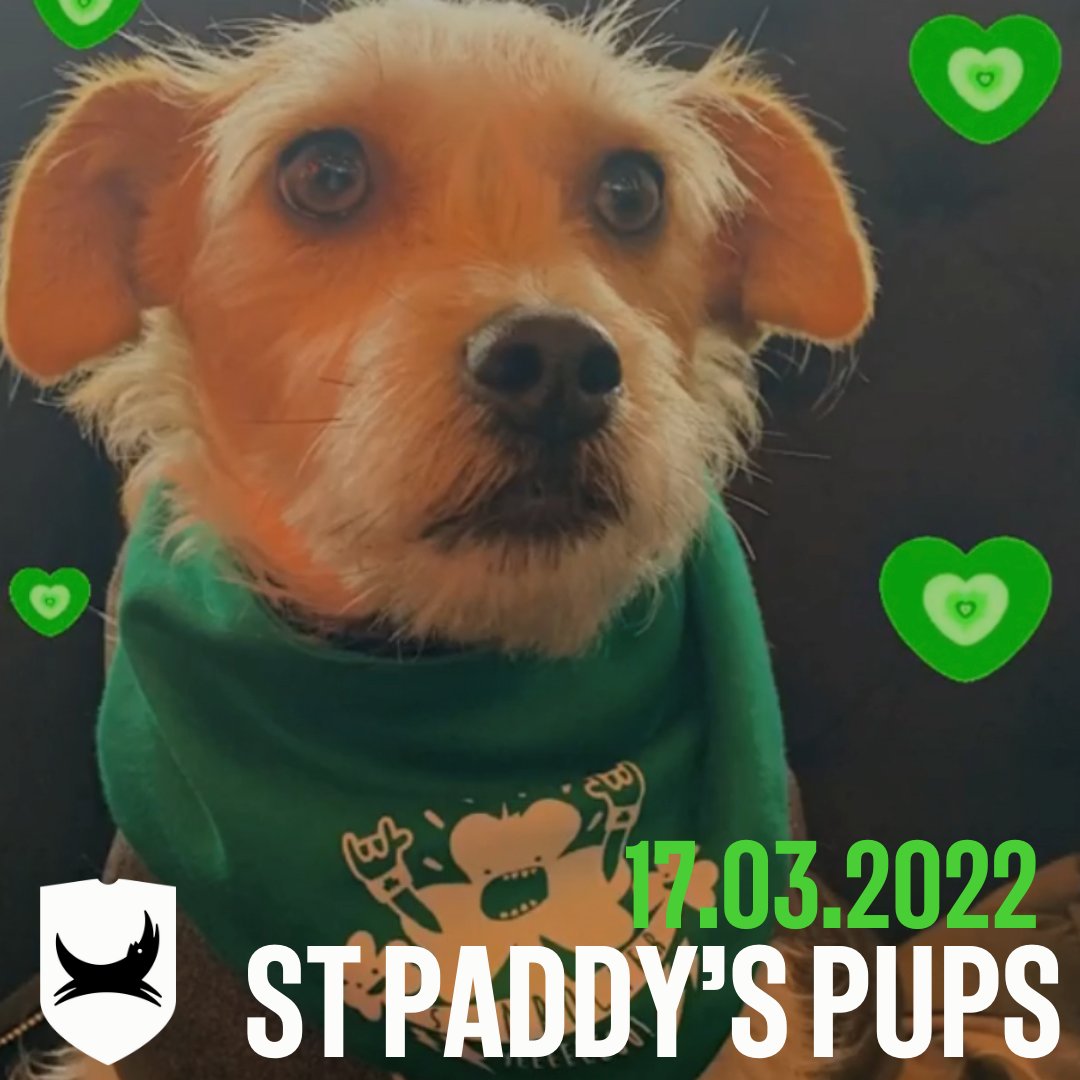 Wearing green for St.Paddy's? Don't forget your furry friend!! ☘️🐶
We want to see all your ST PADDY'S PUPS on 17th March - the greener &amp; more Irish the dogfit, the better!
AND best dressed pooches gets entered into our social media competition to win a TOP PRIZE! 🏆