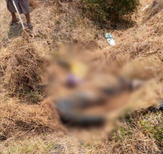 spring_2021's tweet photo. On this noon, MoeBye PDF found the dead bodies of 2 underaged boys (MgAugustin,17 and MgLarSaru,10) who were abducted by military council from PweKone 1 ward,MoeBye Tsp,S.Shan State on the morning of Mar6, in WariSuPlai village,MoeBye Tsp. 

#2022Mar9Coup
#WhatsHappeningInMyanmar https://t.co/iirMwBVpsD