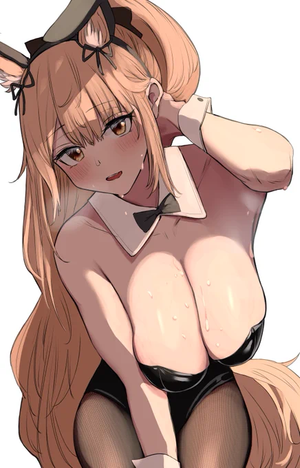 🐴🐰 