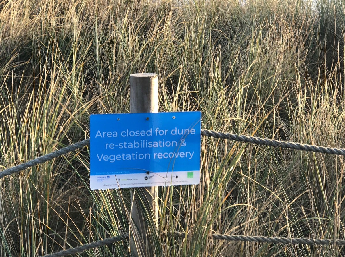 Winterton Beach Car Park tweet media