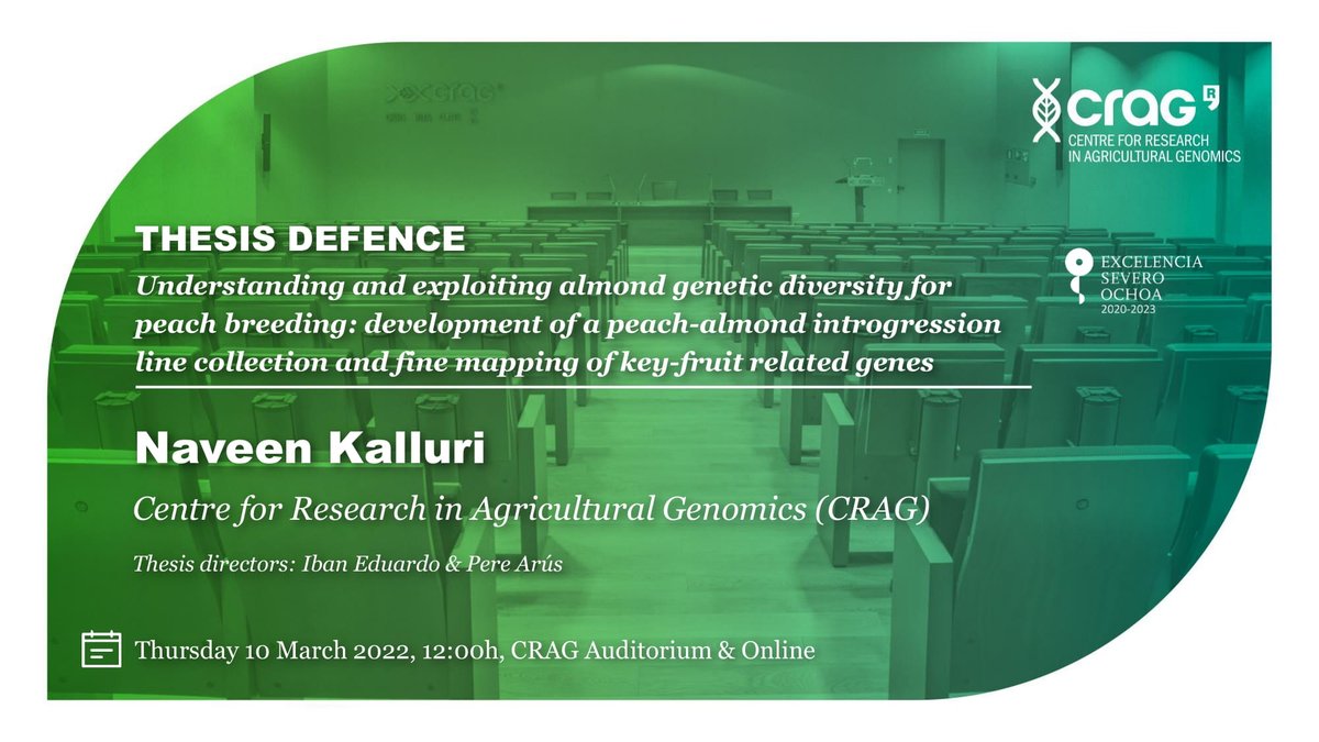👨‍🎓 Tomorrow at 12h, Naveen Kalluri (<a href="/navnkalluri/">Naveen Kalluri</a>) defends his #thesis on understanding and exploiting almond genetic diversity for peach breeding 🍑🧬 
🍀 Best of luck!
👉 Follow it online at cragenomica.es/events/underst…
#CRAGthesis #PlantScience #PlantSci #PhD #PhDlife