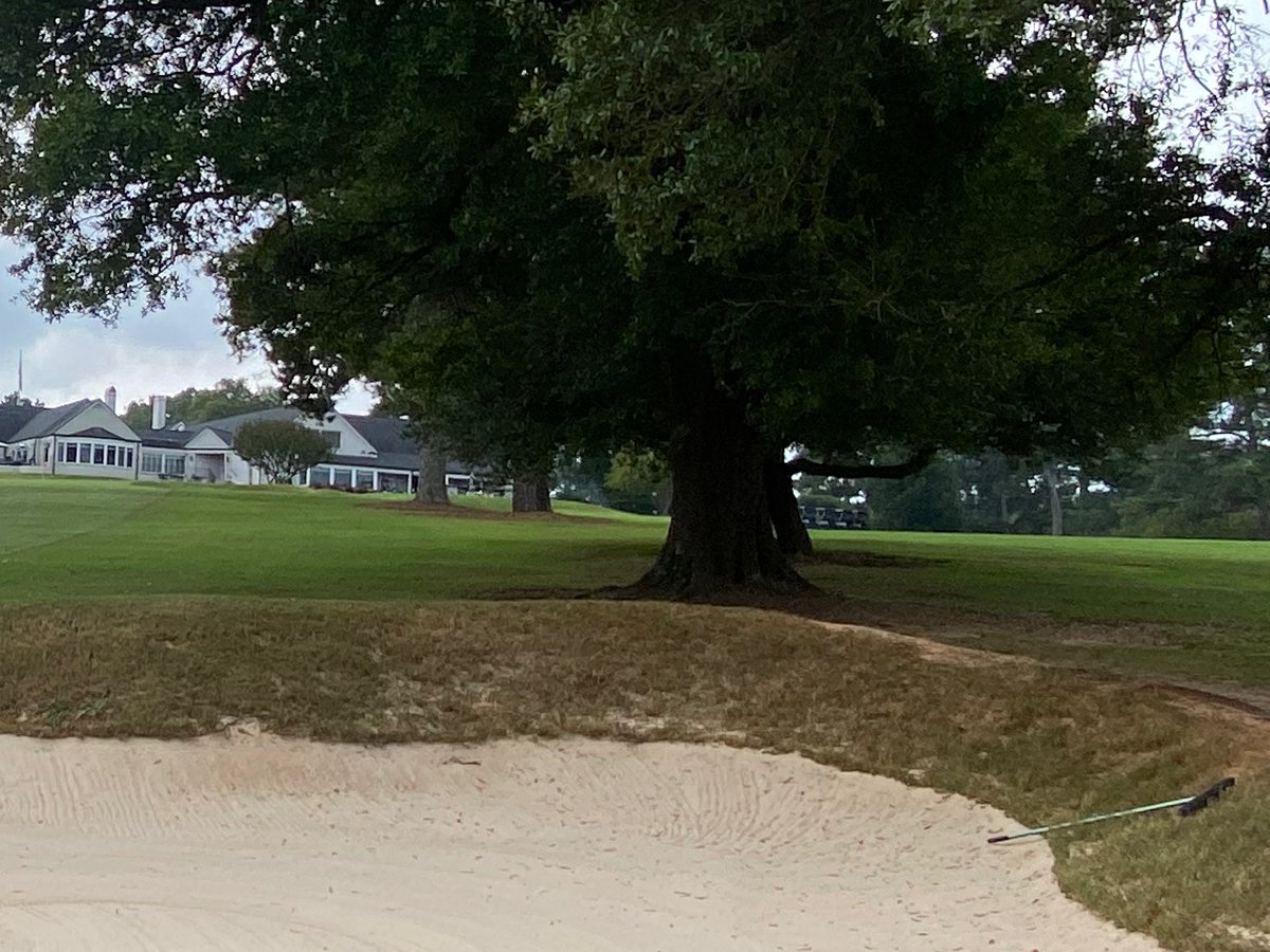 1908 Turf tweet media