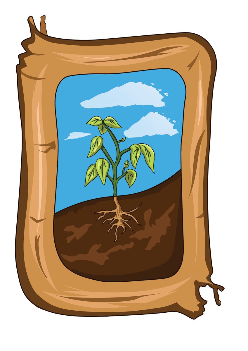 Forest Farm tweet media