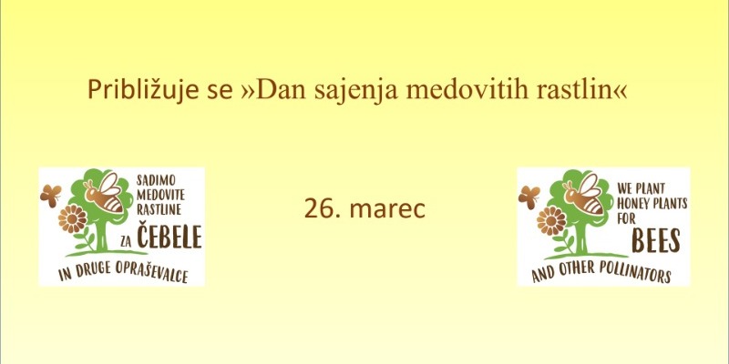 Boštjan Noč, (@czsnoc) on Twitter photo 