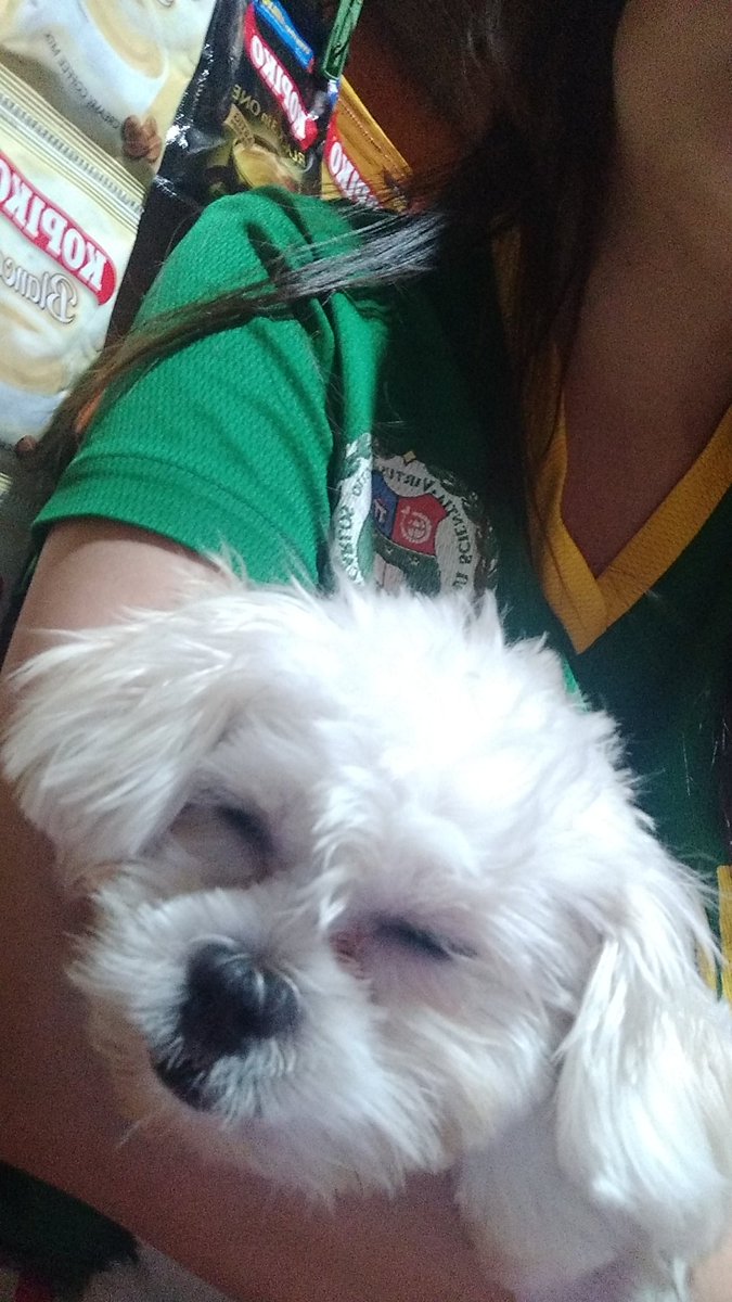 iamjoannroda's tweet photo. Bantay tindahan 163 https://t.co/keylZA6NAJ
