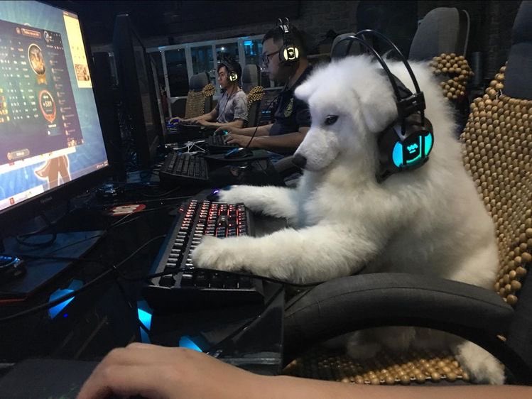 คุณแม่ครับ ตอนนี้เจโน่ก็ยังเล่นเกมทั้งคืนอยู่เลย