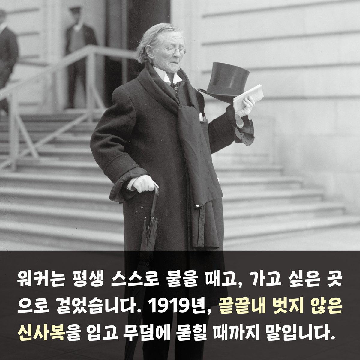 출판사 스크로파 SCROFA tweet media