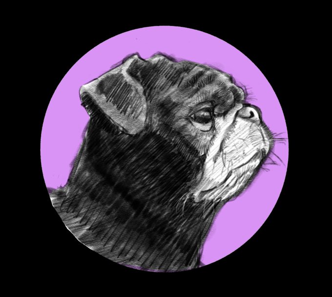 黒パグのtwitterイラスト検索結果