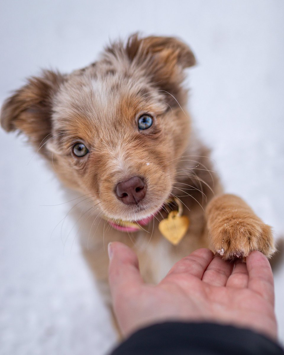 Hello tweeters long time no see!!