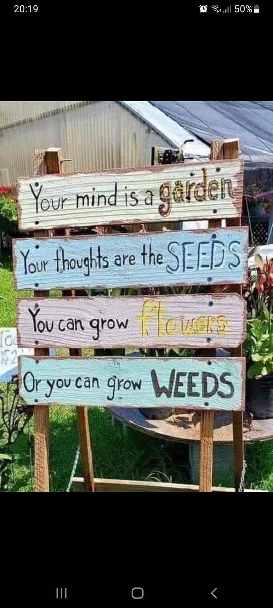 TheParksElsa1's tweet photo. What's your mindset ?  
@DeltaTheParks https://t.co/sYRDQZcqGL