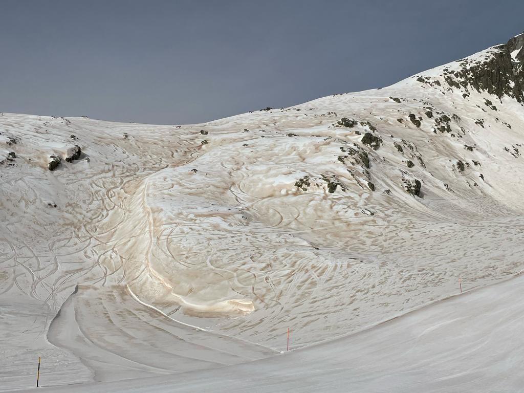 Viva Disentis tweet media