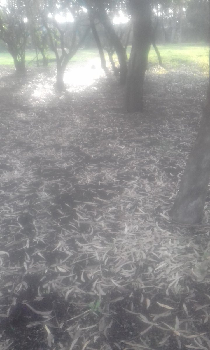 At the end we are just ashes....
So why  we lose our best moments in life worrying...