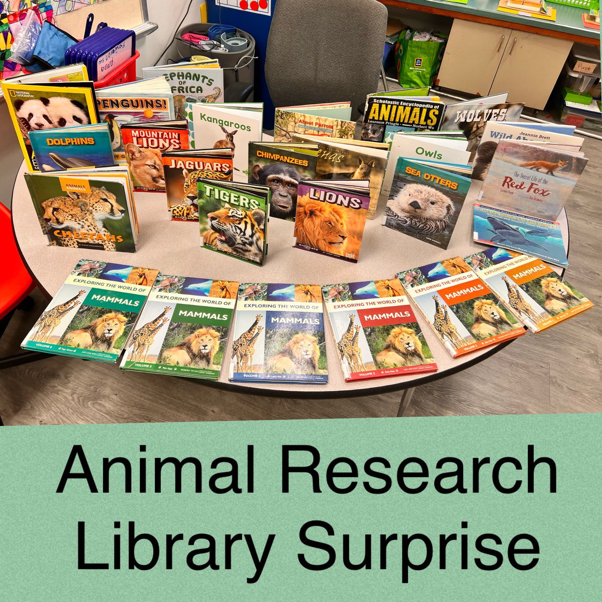 Mrs. Coloma 🍎 tweet media