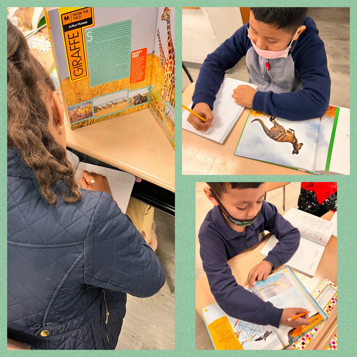 Mrs. Coloma 🍎 tweet media