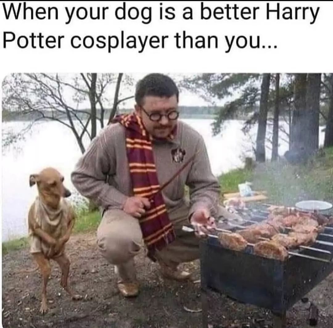 PaylessBath's tweet photo. dobby ...

#meme #memes #funny #memesdaily #funnymemes #lol #comedy  #funnymeme #lmao https://t.co/aPJOwpEsXS