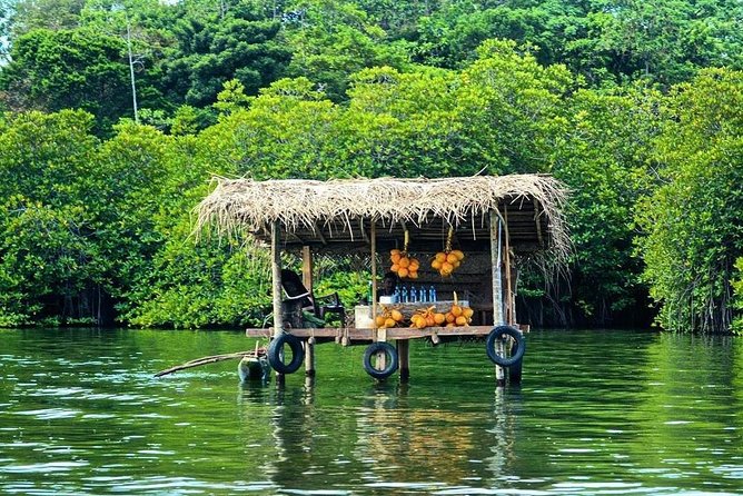wandurlux's tweet photo. The Madu river boat safari take you through mangroves,under bridges,to an island where cinnamon is extracted in #Galle, #SriLanka.Madu river boat tours provides natural foot massage from hundreds of fish in artificial cage ponds. 👉 https://t.co/RPfvWCs1zQ for more information. https://t.co/DXKqTzFkjy
