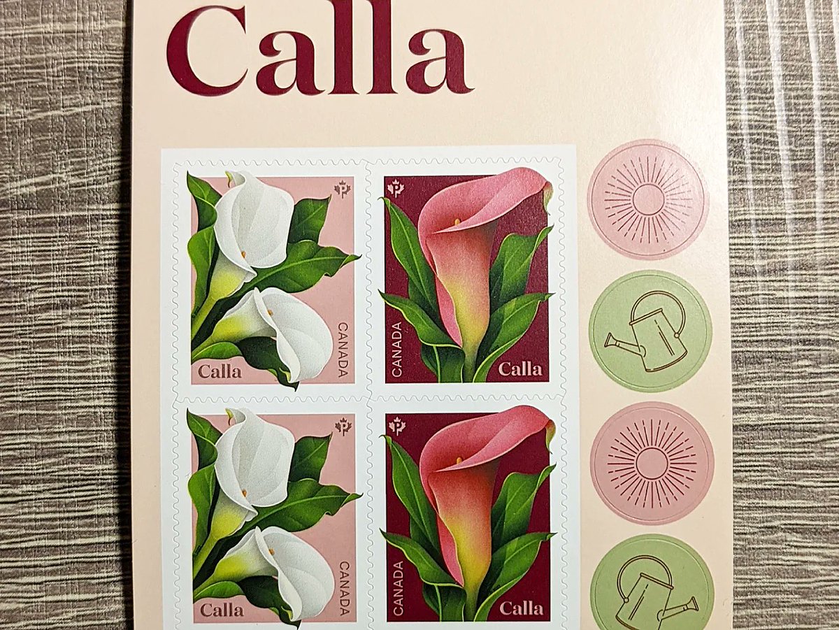 I feel like Canada Post knew how desperately I needed some plants in my life when they popped this in my mailbox yesterday! #spop #philately #flowerphilately #canadapost