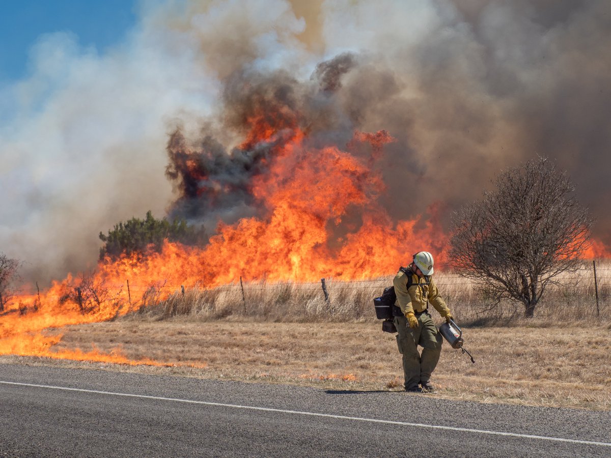 TXForestService's tweet photo. 🔥 Significant fire activity is forecast for tomorrow, March 17 due to extremely critical fire weather conditions along and west of the I-35 corridor including Gainesville, Fort Worth, Wichita Falls, Abilene, Austin, San Antonio and Del Rio regions. 🔥

👉https://t.co/XnyNaZ2L4a https://t.co/PfymJlTUr3
