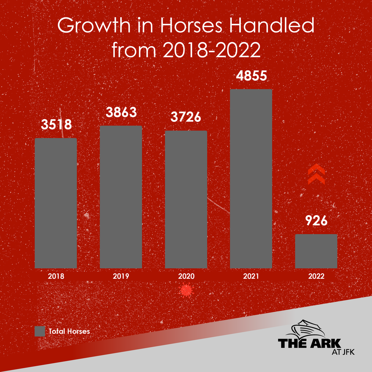 ARKJFK's tweet photo. Here's a look at some of the statistics of horses handled at The ARK between 2018 and 2022📈
#arkjfk #arkpetoasis https://t.co/08I2bDH9iq