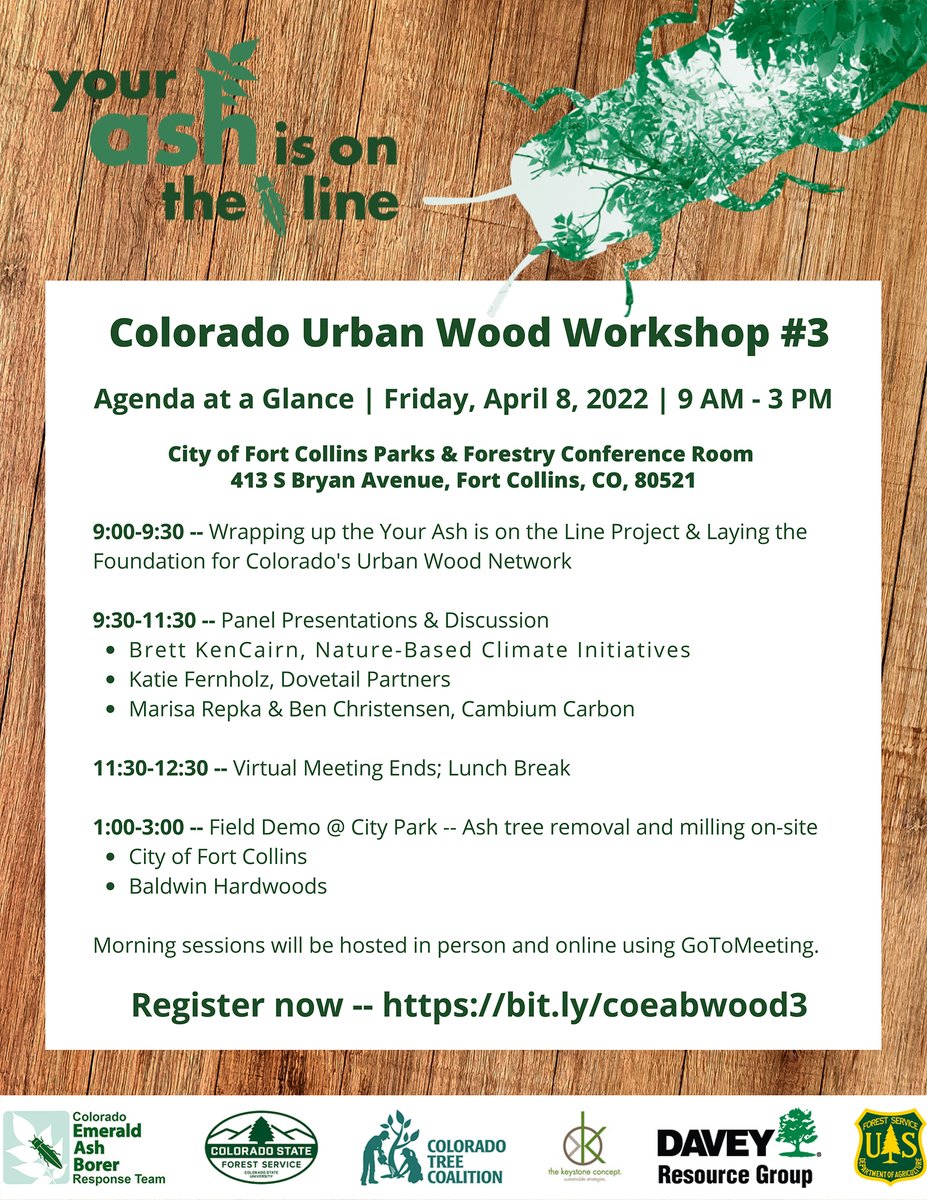 CSFS_Outreach's tweet photo. It's on! Join us in person or online for the Colorado Urban Wood Workshop, complete with a field demo of an ash tree removal.
Register today: https://t.co/jIO6tdvte2
@USFSRockyMtns
@DaveyTree
@SustainTheKey
#ColoradoTreeCoalition
#ColoradoEAB #EAB https://t.co/oitP8bbmzZ