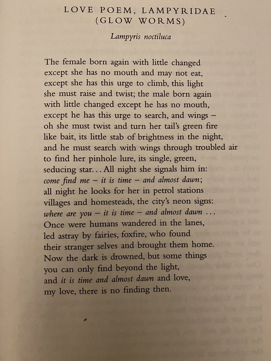 sofiak2110's tweet photo. Next time light trespass and uplighting limits come up at a meeting on Light Pollution … This goes up on my slide… Magestic… #fionabenson #ephemeron
It’s time we look at humanities to make connections … https://t.co/weVvyiLP0Z