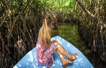 wandurlux's tweet photo. The Madu river boat safari take you through mangroves,under bridges,to an island where cinnamon is extracted in #Galle, #SriLanka.Madu river boat tours provides natural foot massage from hundreds of fish in artificial cage ponds. 👉 https://t.co/RPfvWCs1zQ for more information. https://t.co/DXKqTzFkjy