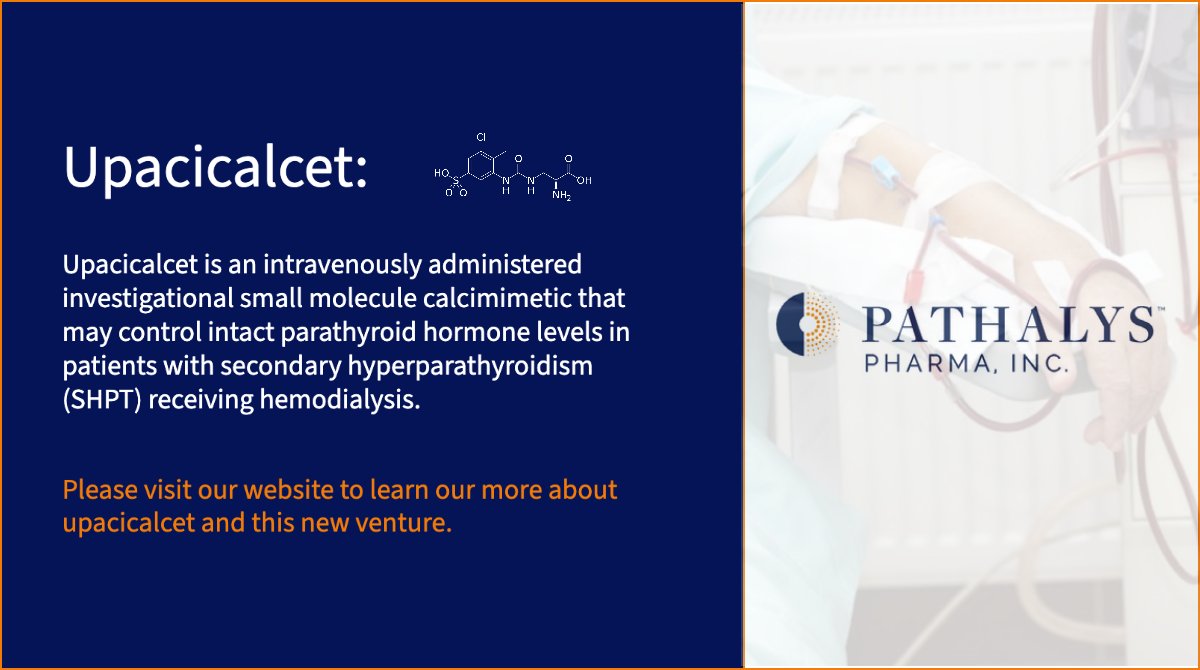 PathalysPharma's tweet photo. When Pathalys #launched on March 1st, it launched with a novel #clinical stage asset, upacicalcet. Follow us here for updates on our two planned Ph3 #clinicaltrials and progess made with this new #venture.  https://t.co/WDLPX5Z3pj #biopharma #kidney #innovation #VentureCapital https://t.co/xvZmV2tPad