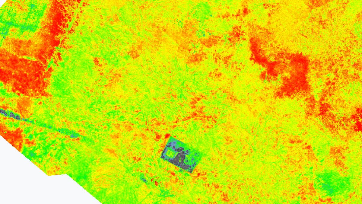 WHAT IS NDVI? Normalised Difference Vegetation Index
WHAT CAN YOU USE IT FOR?
Determine how healthy plants are &amp; identify disease based on the reflectance of light using near-infrared sensors. Useful for monitoring changes! #dronemapping #habitat #NDVI #plants #wilddatadrones