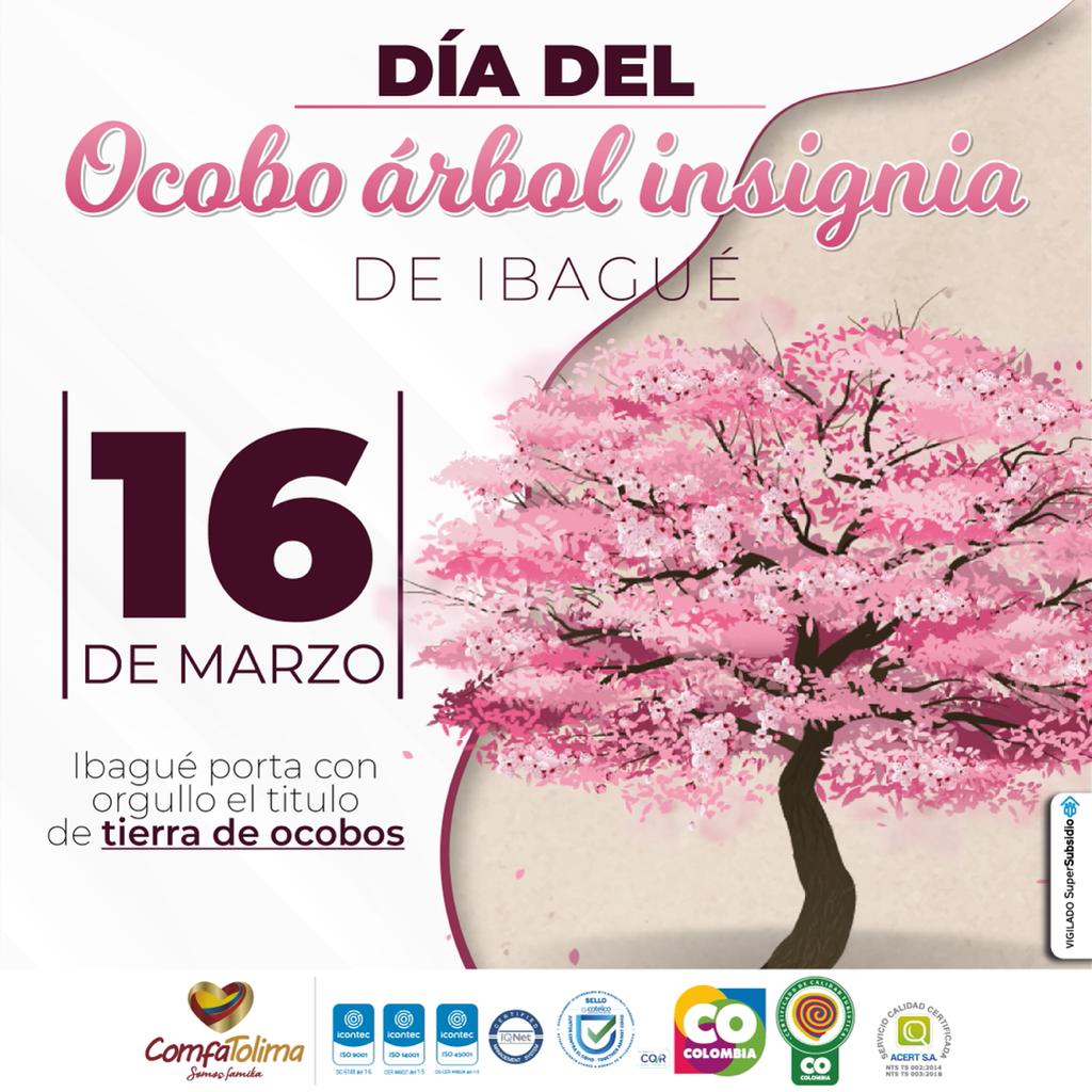 Comfatolima tweet media