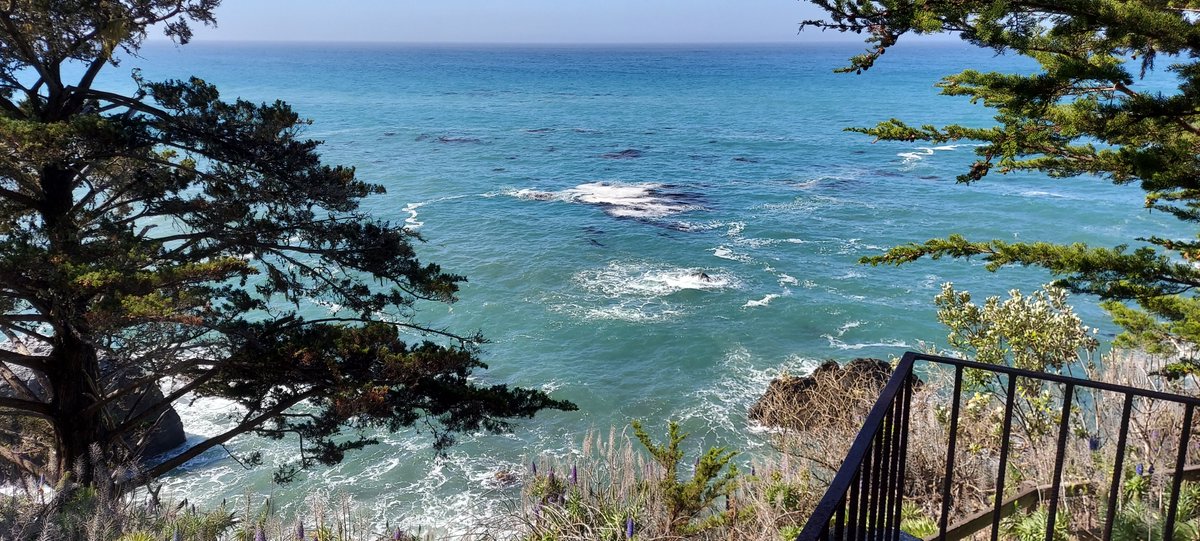 neuromichael's tweet photo. From now on I would like to please give all my scientific talks in ergonomic rooms overlooking an ocean. Thank you.
#willtravelforscience #esalen #conference #science #neuroscience #medicine #philosophy #spirituality #neurospirituality #interdisciplinary #psychedelics https://t.co/y5eJCqUyDE