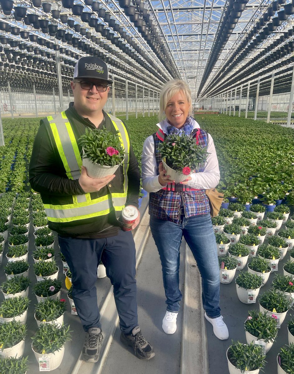 TanyaCBloomDiva's tweet photo. Blue skies, great customers and beautiful @SelectaOneNA carnations 🌸 When the sun came out the fragrance in the #greenhouse was incredible ☀️ Thank you Rainbow Grnhs for the hospitality and #pink safety harness 😃 #carnations #bloomdiva #whatsblooming #spring #lethopebloom https://t.co/UlhvaE5Tio