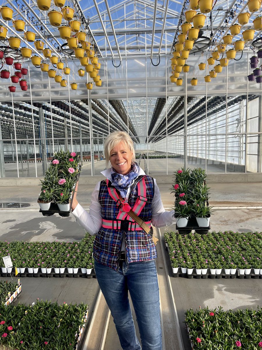 TanyaCBloomDiva's tweet photo. Blue skies, great customers and beautiful @SelectaOneNA carnations 🌸 When the sun came out the fragrance in the #greenhouse was incredible ☀️ Thank you Rainbow Grnhs for the hospitality and #pink safety harness 😃 #carnations #bloomdiva #whatsblooming #spring #lethopebloom https://t.co/UlhvaE5Tio