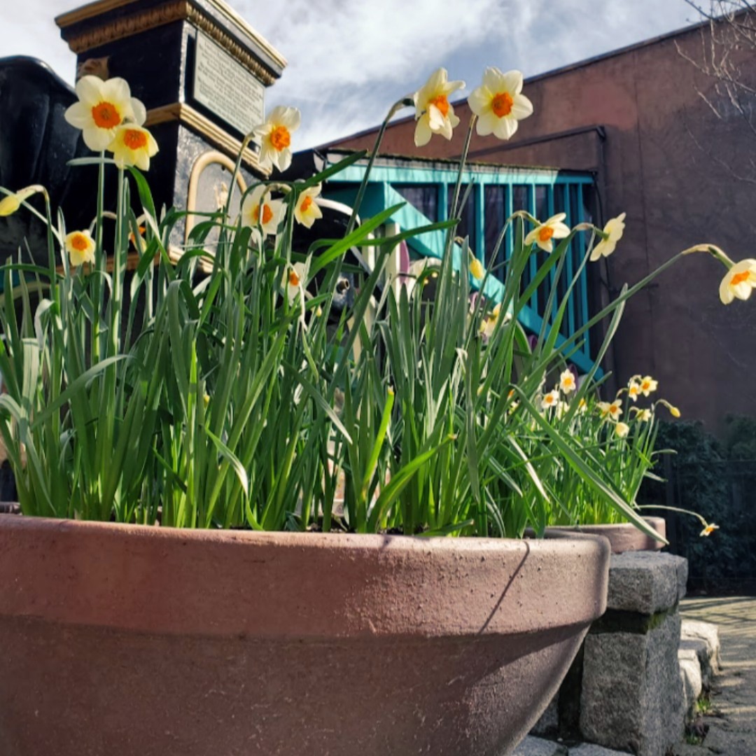 Warmer days are on their way and Spring is officially here! Market Square is the place to be for sunny days! 🌻🌞