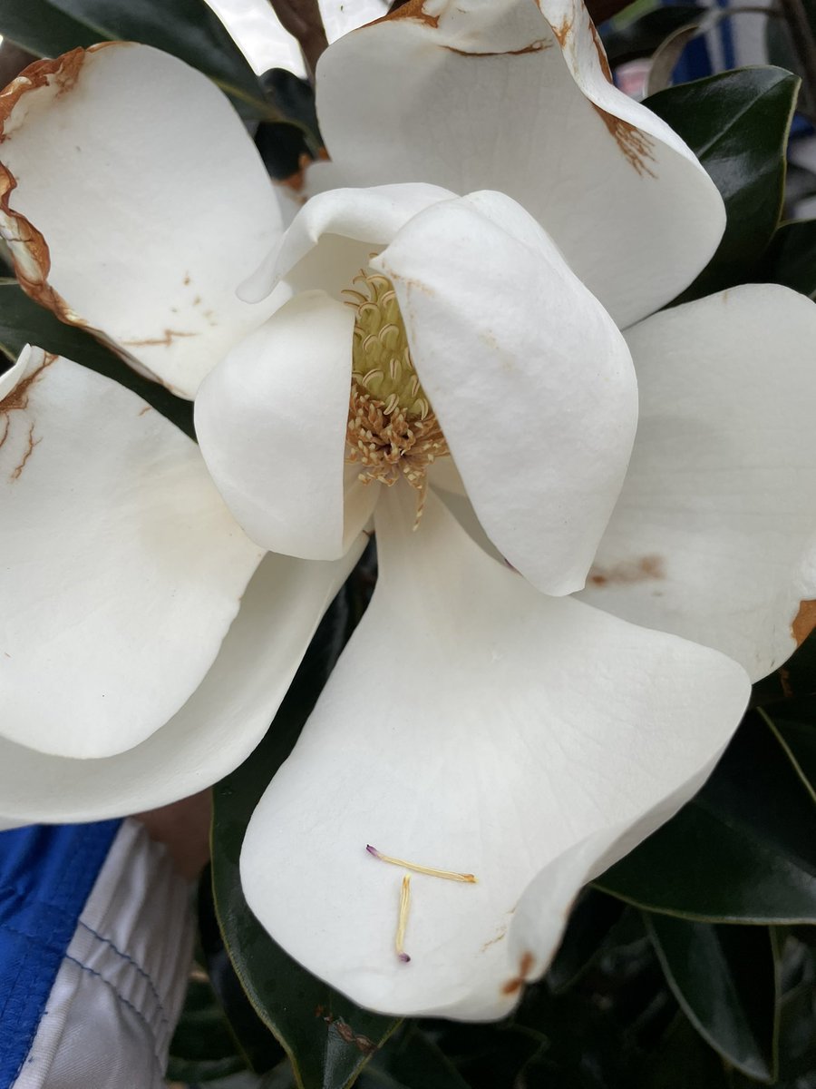 beth Wargo tweet media