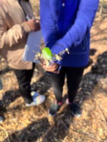 Daffron_5th's tweet photo. 5th Graders collaborating, exploring and enjoying Day 1 of #CampOnCampus! 
@pisdoutdoor @DaffronDeputies https://t.co/8Ub9OBuiRB