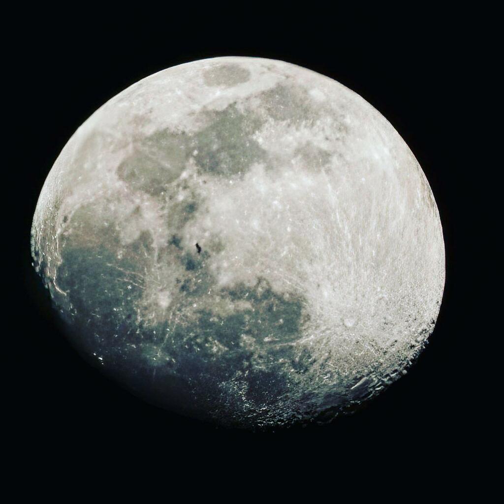 noblenr's tweet photo. IISS lunar transit. #iss #moon #transit #lunartransit #sky_brilliance #oakislandnc #southportnc #stjamesnc #brunswickcountync https://t.co/0W63Bc7GFm https://t.co/QxXcCEqpef