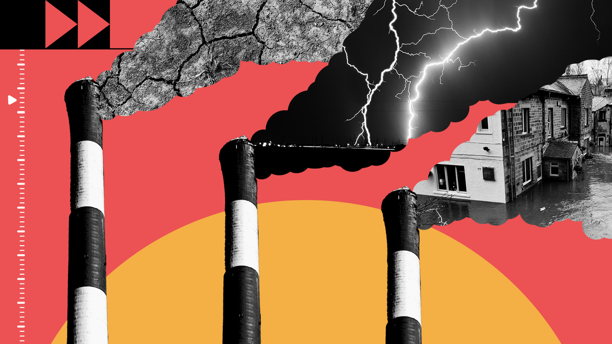 UN's tweet image. Fossil fuels account for 75% of greenhouse gas emissions &amp;amp; 90% of carbon dioxide emissions, making them the largest contributor to the climate crisis. 

As our world warms faster than ever, here's more about the causes &amp;amp; impacts of the climate emergency: un.org/en/climatechan…