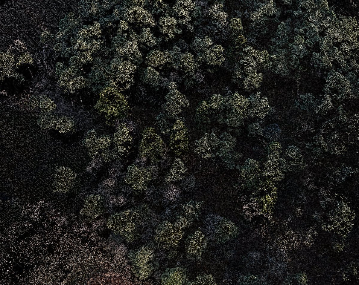 WHAT'S A POINT CLOUD?
Collection of points in 3D space that represent an object

WHAT CAN YOU USE THEM FOR?
Drones provide fast &amp; accurate collection of 3D info about site topography, plant height, canopy volume. #dronemapping #vegetationheight #habitat #wilddatadrones