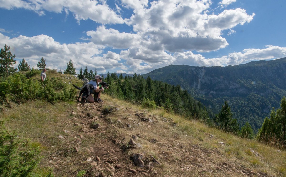 meanderbug's tweet image. Above the Mountains Katun is now available through the Meanderbug App as well as the nearby #hiking routes. Amazing couple or family destination to experience #katun life, #organic foods, and one-of-a-kind nature.