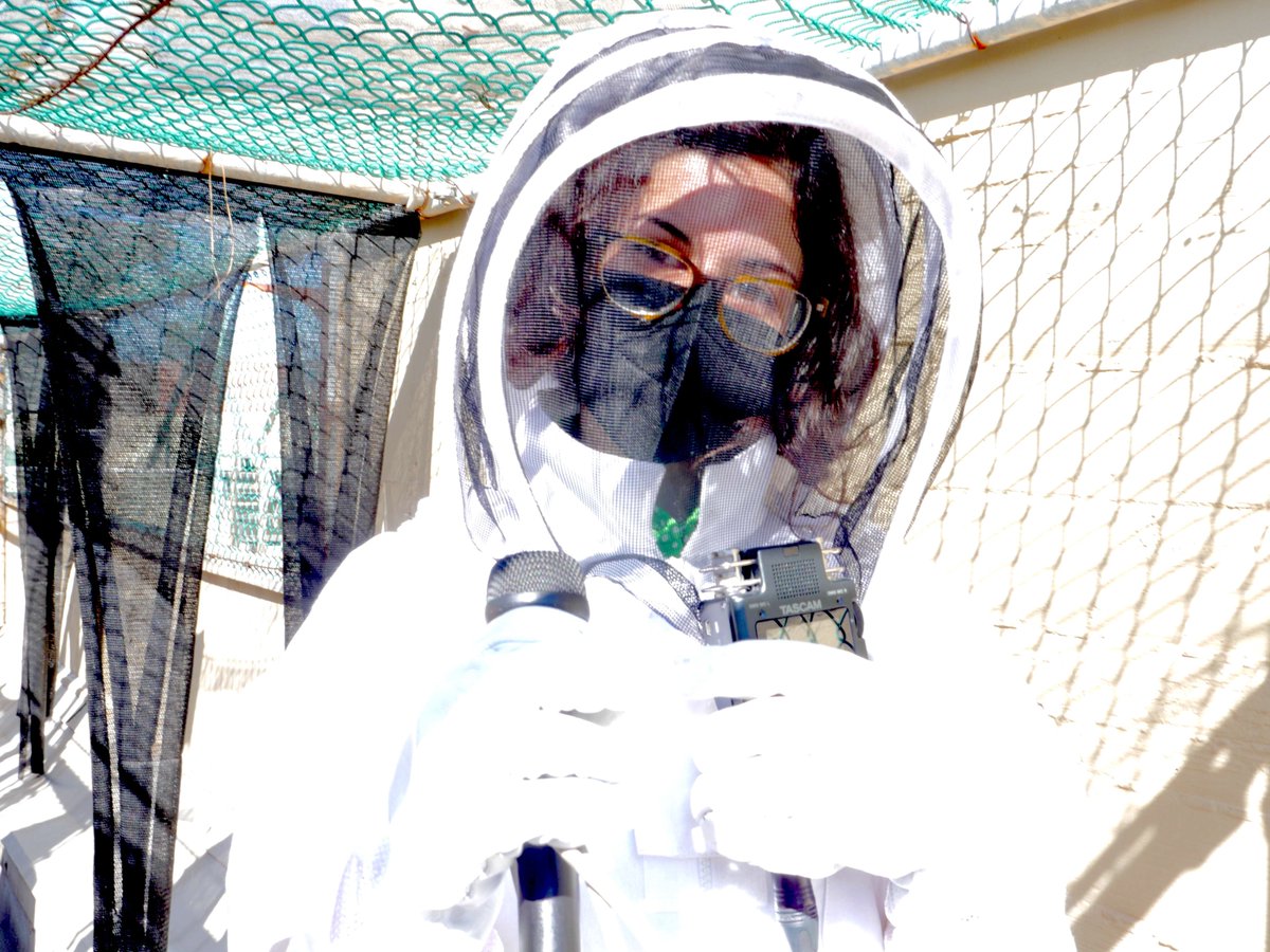 juliepatel's tweet photo. What's buzzing with #NPRnextgen 2022 -- hosted this year by @USCAnnenberg?

@CSUNJournalism's @ryannemena and I had the pleasure of chatting with a @UCLA beekeeper at his club's rooftop aviary.🐝🐝🐝

Here's Ryanne with her mic and recorder. https://t.co/wxdcH9bKfP