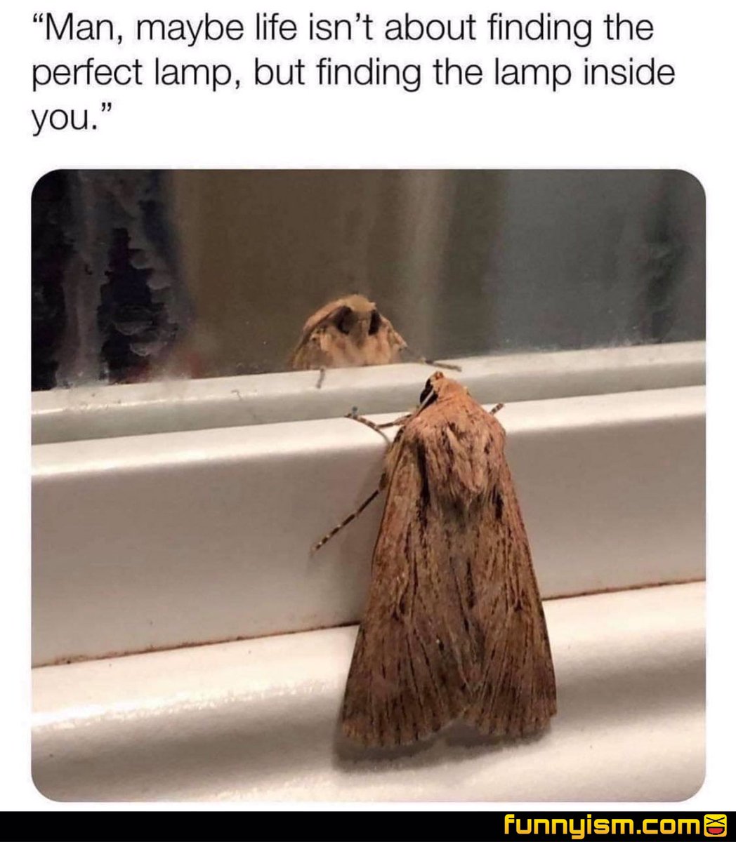 MarineDevilDog0's tweet image. Follow me for more “ Deep Thoughts “ !