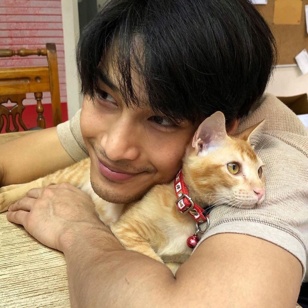 januarymile's tweet photo. ในรูปมีแมวกี่ตัว 😼😼🪄🤍 https://t.co/PD6BNL3rk7