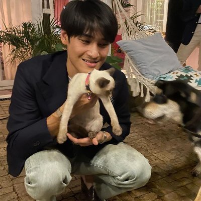 januarymile's tweet photo. ในรูปมีแมวกี่ตัว 😼😼🪄🤍 https://t.co/PD6BNL3rk7