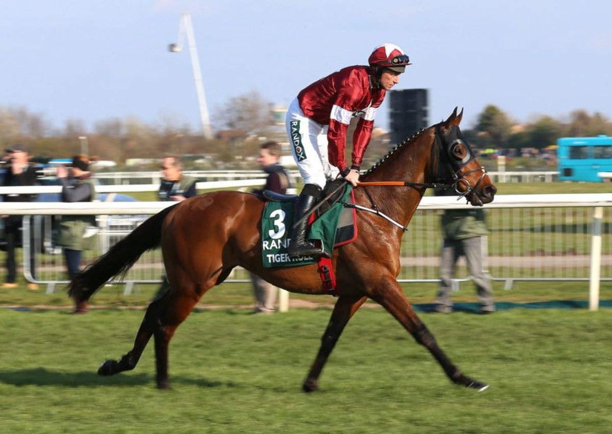 kevinblake2011's tweet photo. The words hero and legend get overused all the time, but as racehorses go, Tiger Roll couldn't fit those bills any better. Incredible longevity, an unbelievable CV and what a way to bow out with a huge run on the biggest stage. Thanks for the memories, Tiger. 🐯 https://t.co/xGGmyK140H
