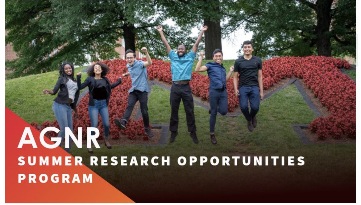 Howard_OHSD's tweet photo. Attention Bison: This eight-week long program at the University of Maryland  is for undergraduate students interested in graduate school and conducting original research! Please see link for deadlines and additional information. https://t.co/TfSCsGdODi https://t.co/01hmvb1UgD